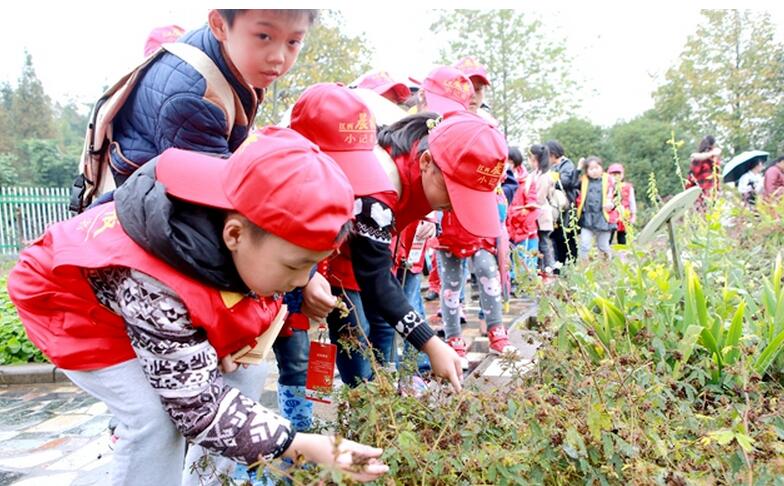 近百名小记者分两批次来到江西中医药大学游学